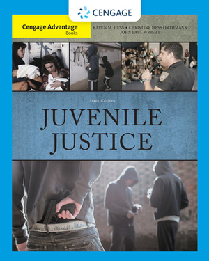 Juvenile Justice by John P. Wright, Kären M. Hess, Christine H. Orthmann