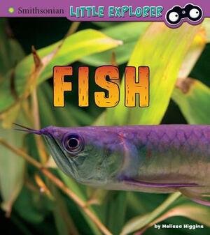 Fish: A 4D Book by Melissa Higgins