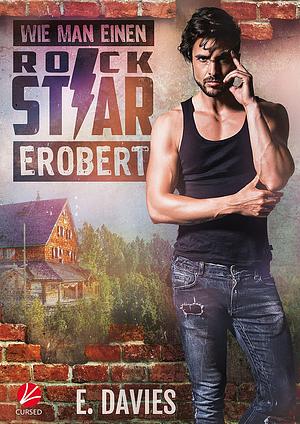 Wie man einen Rockstar erobert (Significant Brothers 1) by E. Davies