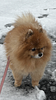 akivi2's profile picture