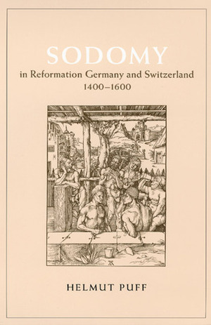 Sodomy in Reformation Germany and Switzerland, 1400-1600 by Helmut Puff