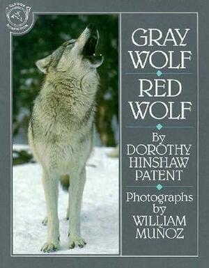 Gray Wolf, Red Wolf by Dorothy Hinshaw Patent
