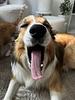 leni_lasagne's profile picture