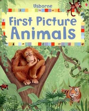 First Picture Animals by Felicity Brooks, Emma Helbrough, Hanri Van Wyk