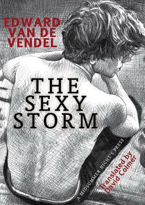 The Sexy Storm by Edward van de Vendel, David Colmer