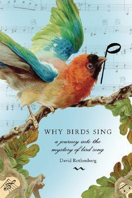 Why Birds Sing: A Journey Into the Mystery of Bird Song by David Rothenberg