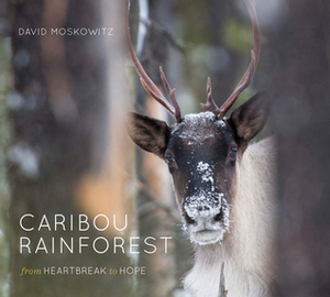 Caribou Rainforest from Heartbreak to Hope by David Moskowitz