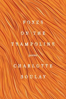 Foxes on the Trampoline by Charlotte Boulay