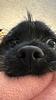 itisamandaaa's profile picture