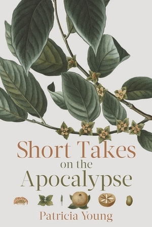 Short Takes on the Apocalypse by Patricia Young