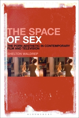 The Space of Sex: The Porn Aesthetic in Contemporary Film and Television by Shelton Waldrep