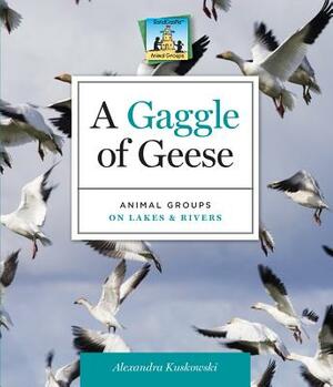 A Gaggle of Geese: Animal Groups on Lakes & Rivers by Alex Kuskowski