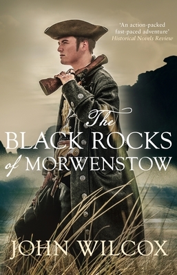 The Black Rocks of Morwenstow by John Wilcox