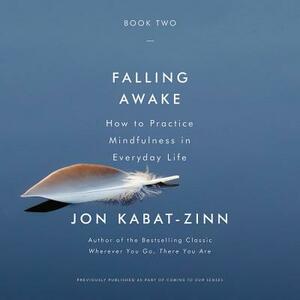 Falling Awake: How to Practice Mindfulness in Everyday Life by 
