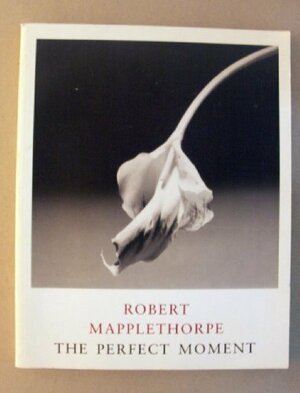 The Perfect Moment by David Joselit, Robert Mapplethorpe