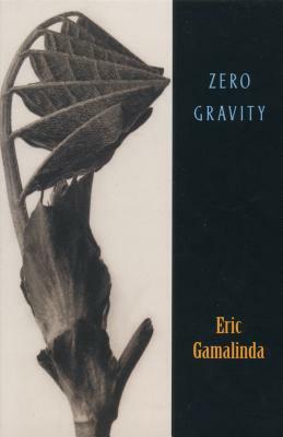 Zero Gravity by Eric Gamalinda