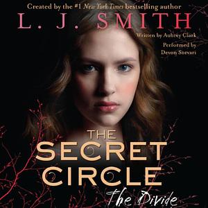The Divide by L.J. Smith