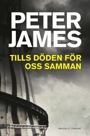 Tills döden för oss samman by Peter James