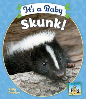 It's a Baby Skunk! by Kelly Doudna