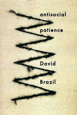 Antisocial Patience by David Brazil