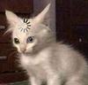 lostinanotherworld's profile picture