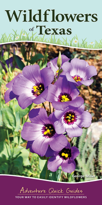 Wildflowers of Texas: Your Way to Easily Identify Wildflowers by George Miller