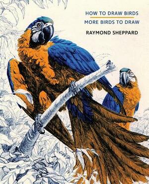 How to Draw Birds / More Birds to Draw by Raymond Sheppard