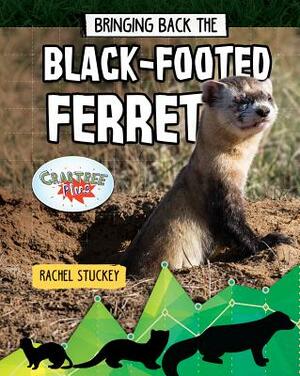 Bringing Back the Black-Footed Ferret by Rachel Stuckey