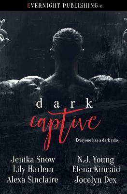 Dark Captive by Lily Harlem, Alexa Sinclaire, N. J. Young
