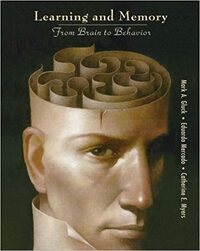 Learning and Memory: From Brain to Behavior by Mark A. Gluck, Eduardo Mercado, Catherine E. Myers