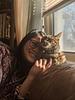tooyu's profile picture