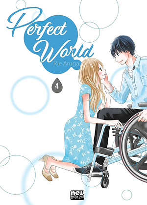 Perfect World, Volume 4 by Rie Aruga