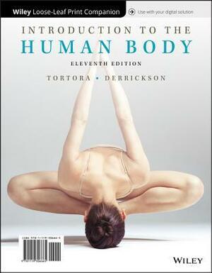 Introduction to the Human Body by Bryan H. Derrickson, Gerard J. Tortora