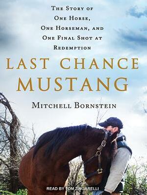 Last Chance Mustang: The Story of One Horse, One Horseman, and One Final Shot at Redemption by Mitchell Bornstein