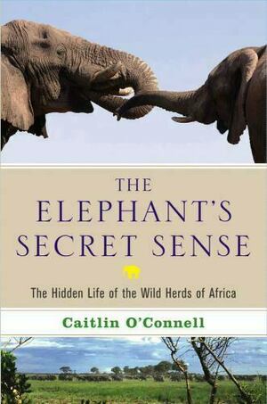 The Elephant's Secret Sense: The Hidden Life of the Wild Herds of Africa by Caitlin O'Connell
