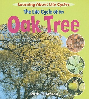 The Life Cycle of an Oak Tree by Ruth Thomson