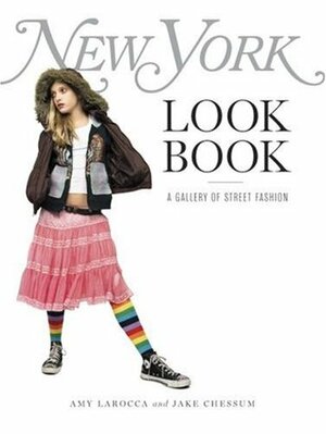 New York Look Book: A Gallery Of Street Fashion by Amy Larocca