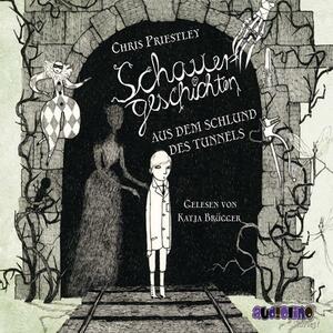  Schauergeschichten aus dem Schlund des Tunnels  by Chris Priestley