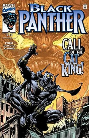 Black Panther #13 by Sal Velluto, Christopher J. Priest