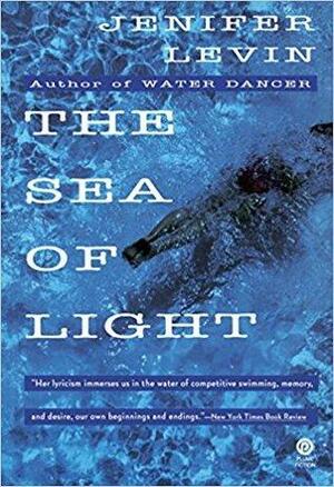 The Sea of Light by Jennifer Levin