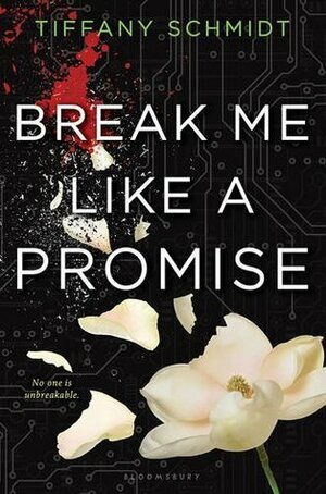 Break Me Like a Promise by Tiffany Schmidt
