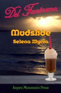 Mudslide by Selena Illyria