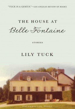 The House at Belle Fontaine by Lily Tuck