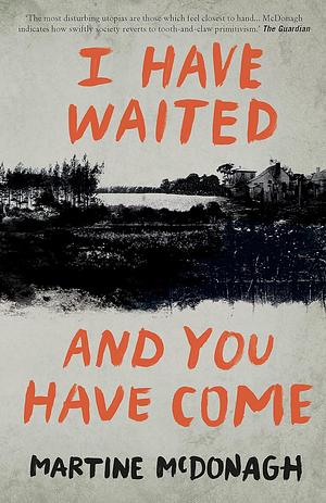 I Have Waited, and You Have Come by Martine McDonagh