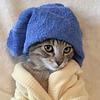 isabelleeckert's profile picture