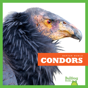 Condors by Jenna Lee Gleisner