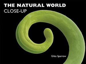 The Natural World Close-Up by Giles Sparrow