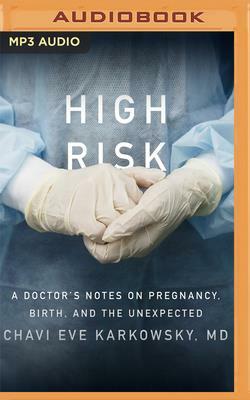 High Risk: A Doctor's Notes on Pregnancy, Birth, and the Unexpected by Chavi Eve Karkowsky