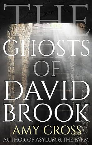 The Ghosts of David Brook by Amy Cross
