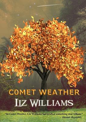 Comet Weather by Liz Williams